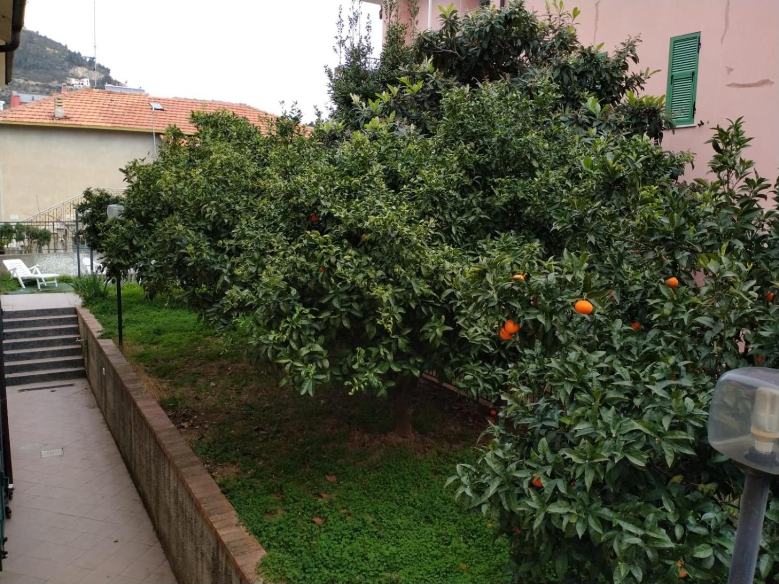 보르지오 베레찌 La Casa Di Cri Al Mare Due 빌라 외부 사진